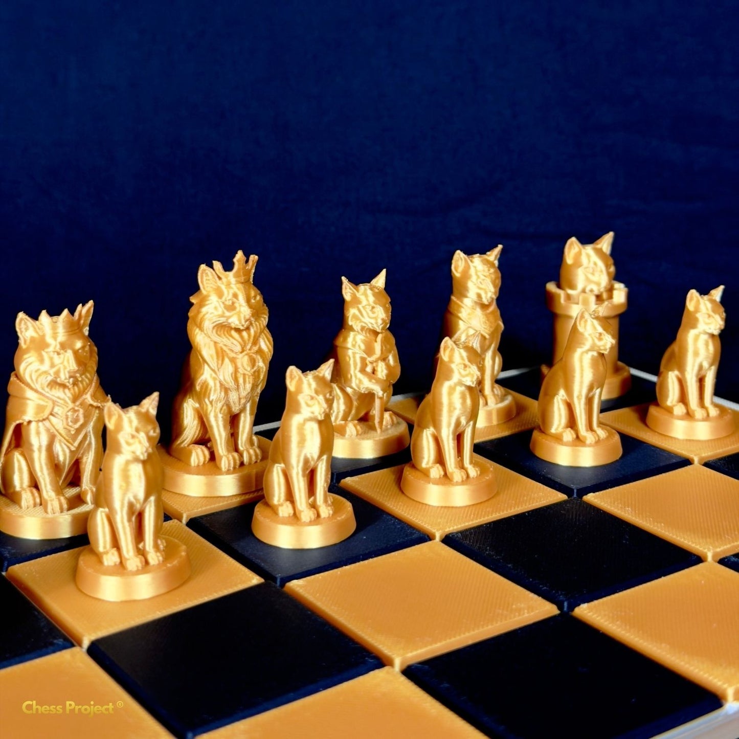 Jeu de pièces d’échecs chats design doré aligné sur échiquier contemporain vue latérale